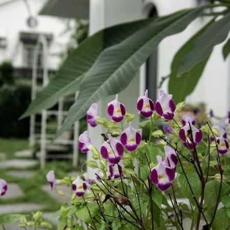 Hasayaki Homestay Sanxing Exterior photo