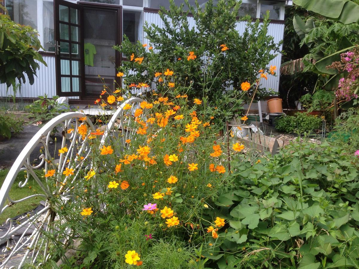 Hasayaki Homestay Sanxing Exterior photo